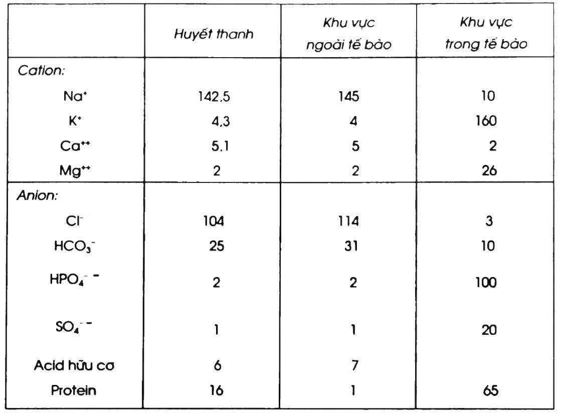 Meq là gì? Rối loạn điện giải ở cơ thể - Vì sức khỏe gia đình - Medium