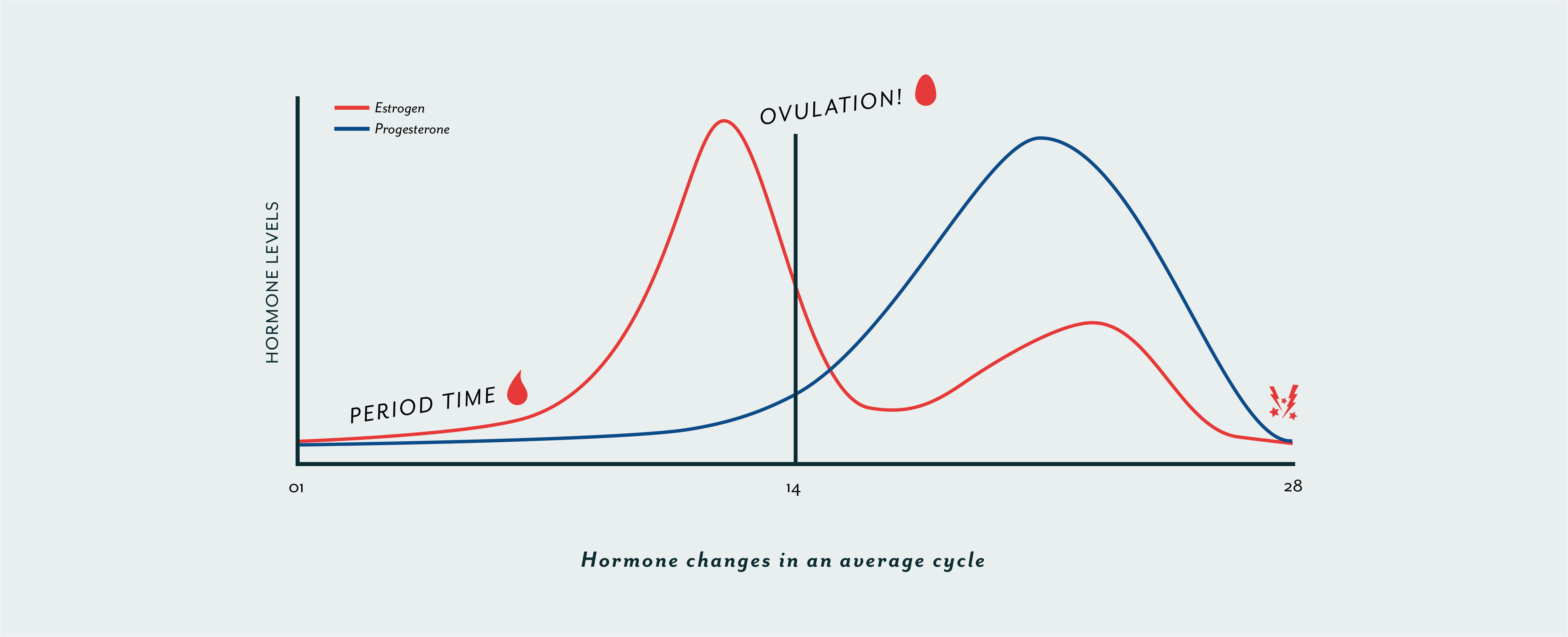 Hormone Levels During Cycle Chart