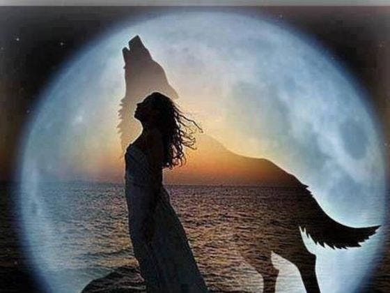 Animal Spirits Your Guide To A Better Life Barb Ruhl - 