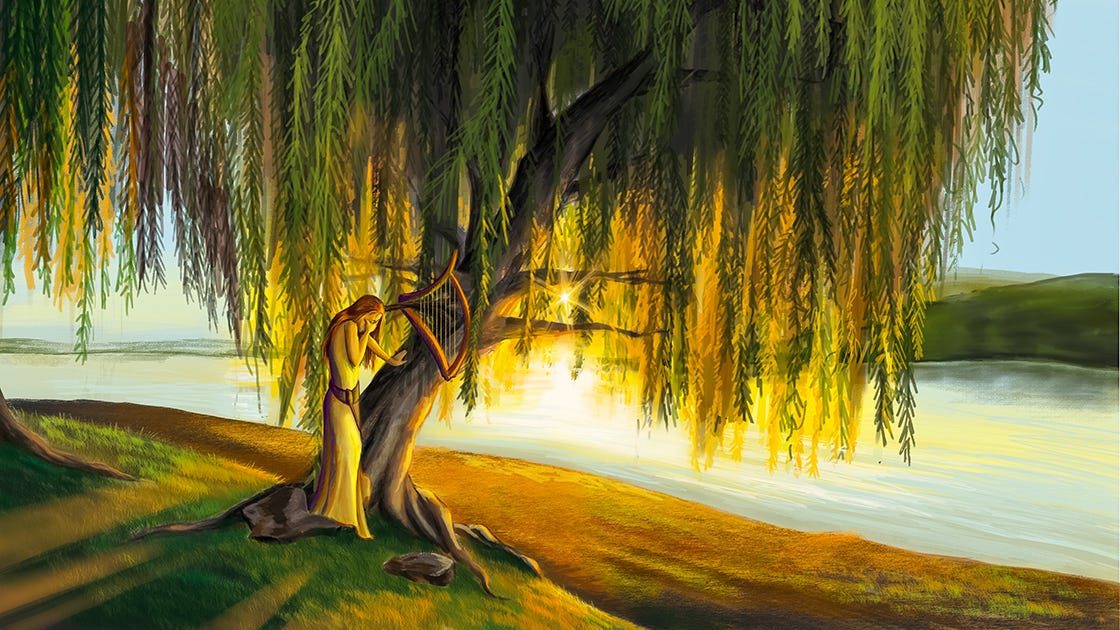 On The Willows The Verse The Faces Of America Seem So Distant By Aramis Thorn Medium medium