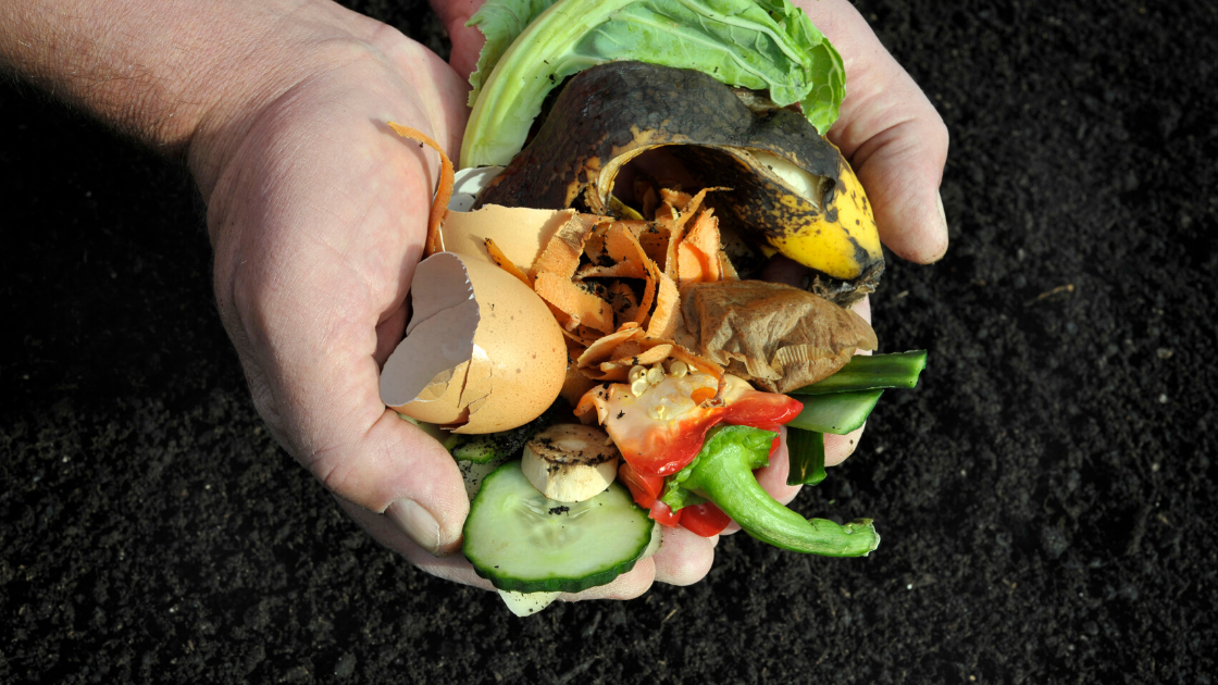 Compost in Your Garden. Why You Need It & How To Do It Right by