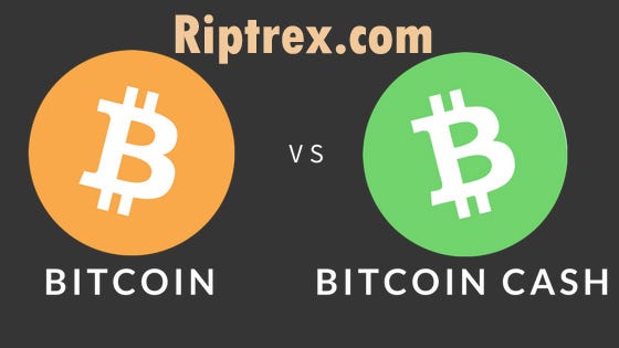 Bitcoin Cash Vs Bitcoin How Is Bch Measuring Up Rip Trex Medium - 