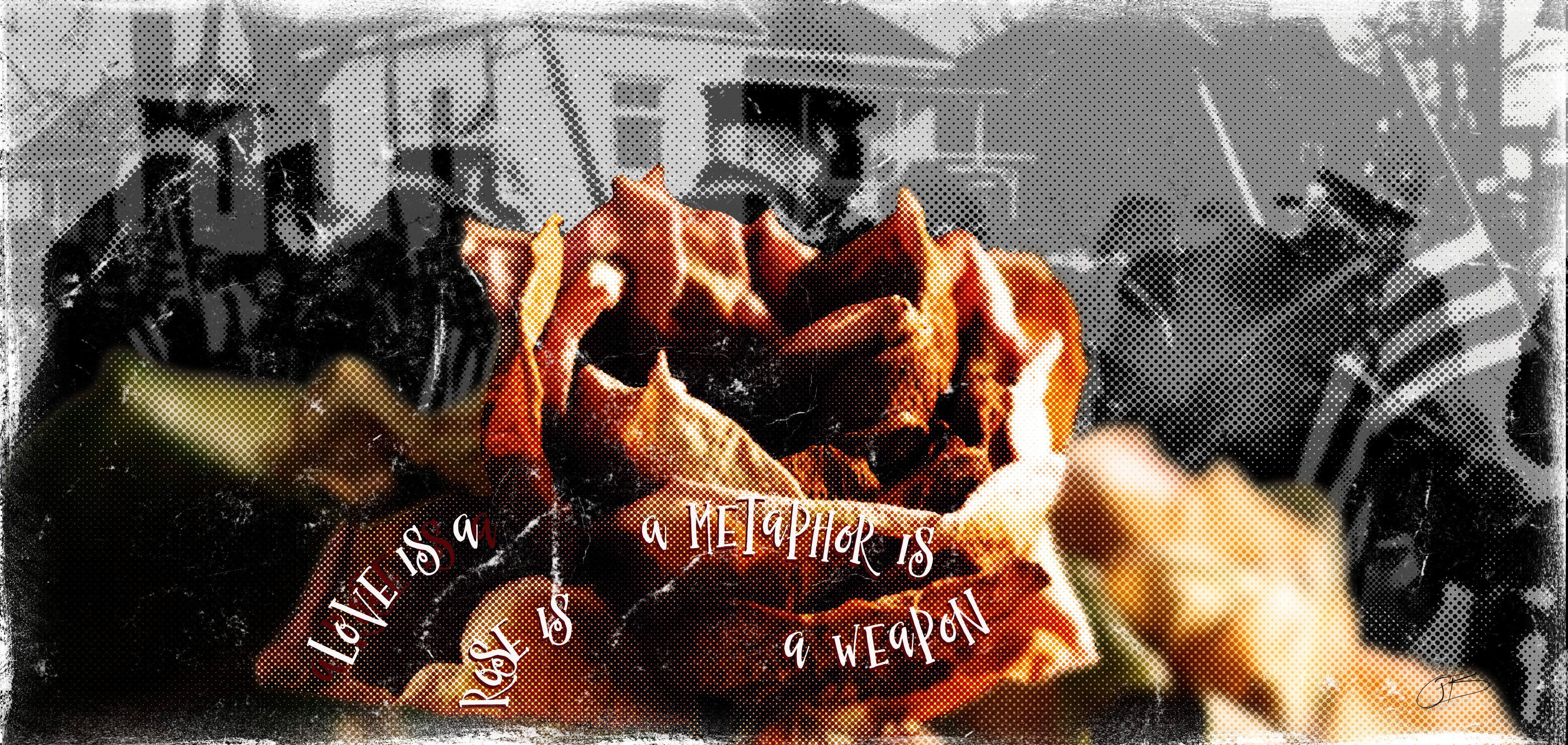 The Sovereign Lawmaker Metaphor Phillip T Stephens Medium - 
