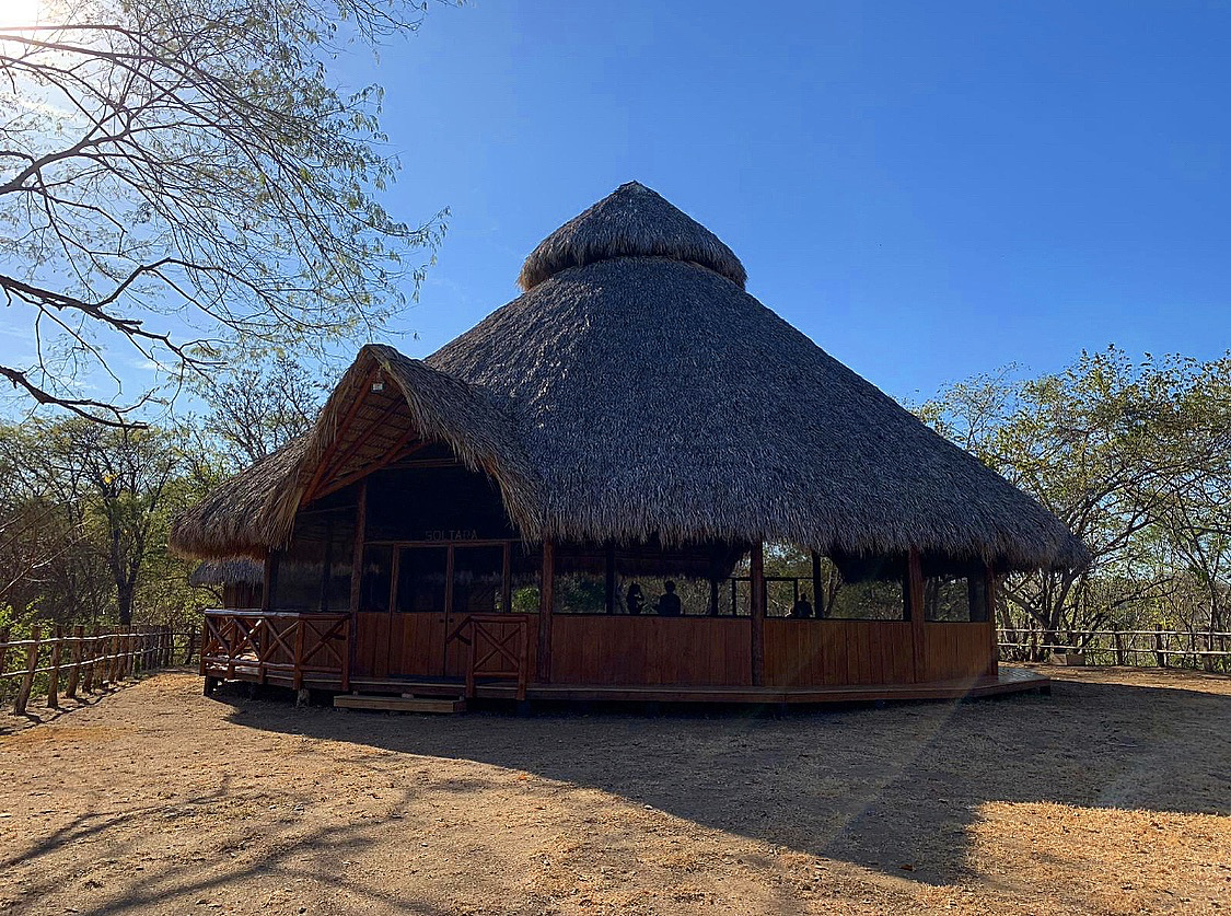 Ayahuasca A Sophisticated Retreat To An Utterly Regressed State