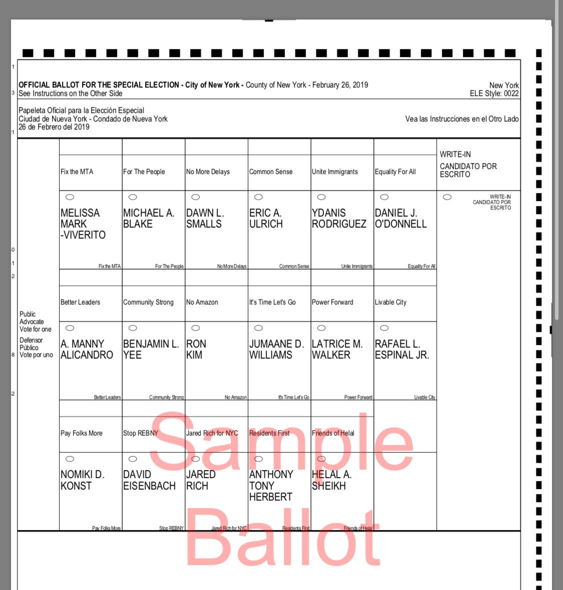 NYC Public Advocate Special Election Voter Guide | by Rabbi Daniel