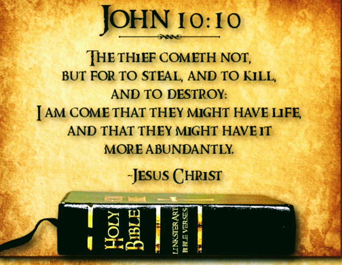 The thief cometh not, but for to steal, and to kill, and to destroy: I