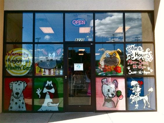 the puppy zone