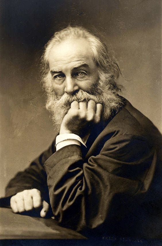 Celebrando o grande poeta, Walt Whitman | by Camila De Figueiredo Pimenta | sem querer mudar de assunto | Medium