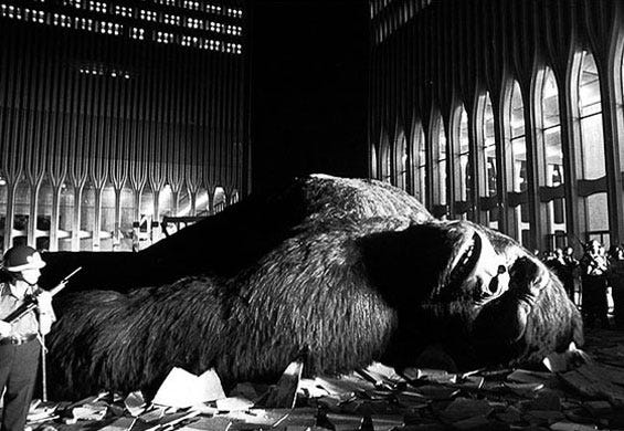 The KING KONG Legacy - CineNation - Medium