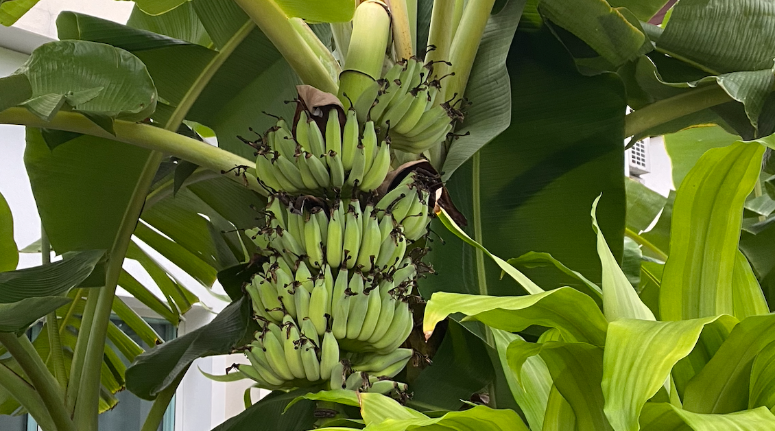 How to query sqlite database with adb tool | by Stephen Lee | Medium