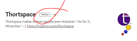 thortspace review thortspace review