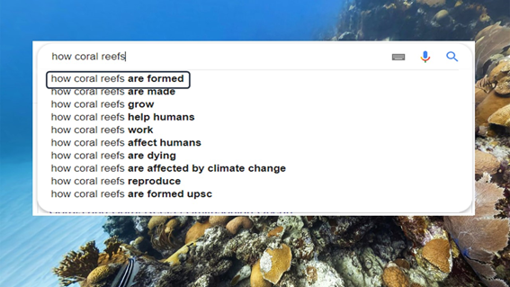 Credit river abiotic feature study essay image