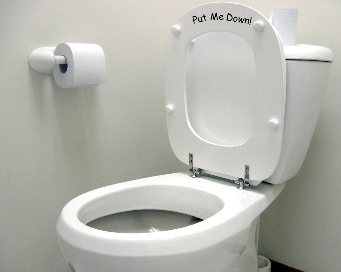 the toilet seat
