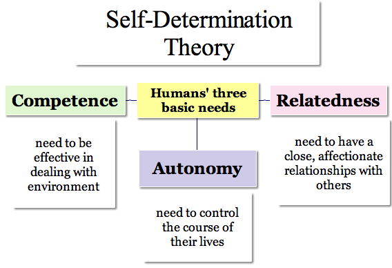 self determination theory case study