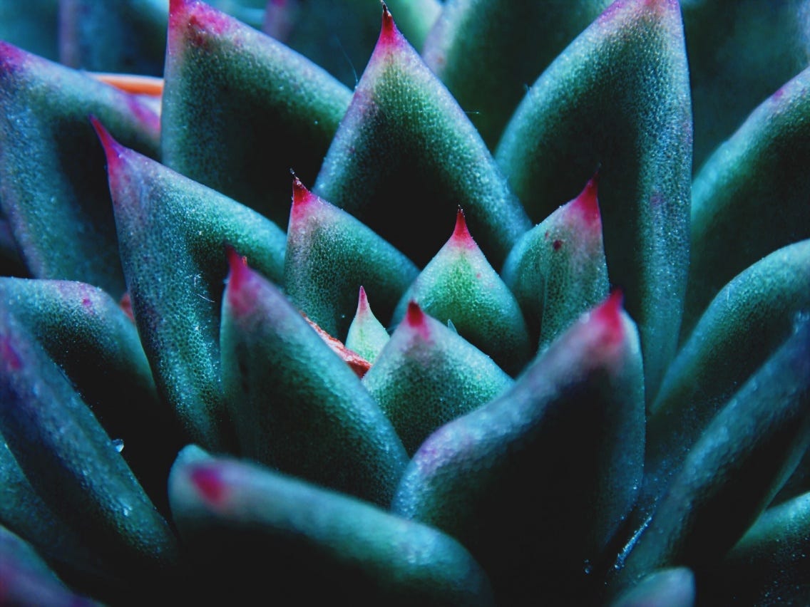 Stay In Your Comfort Zone The Post Grad Survival Guide Medium
