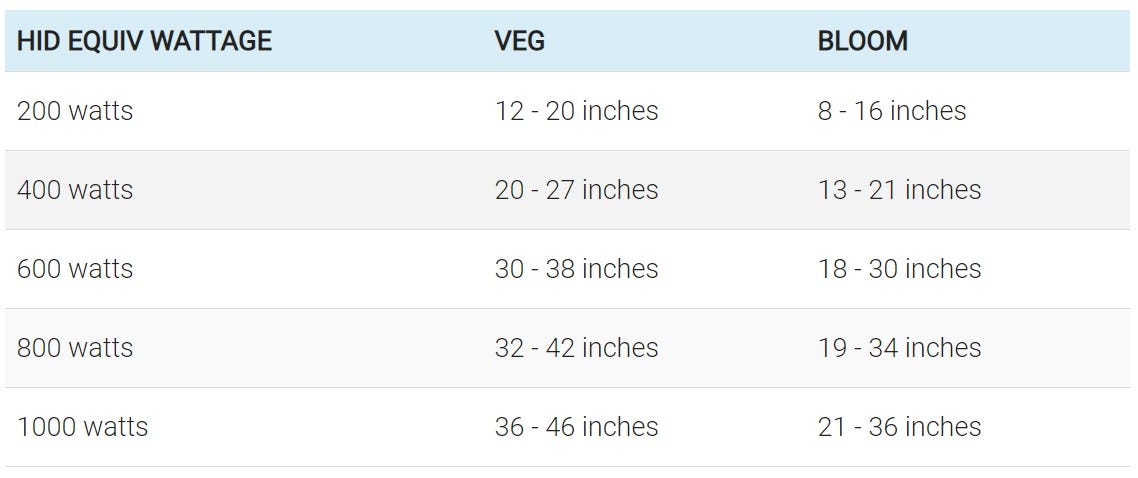 How High Should You Have Your Quantum Boards From Your Seedlings 2020 Updated By Growlights Medium