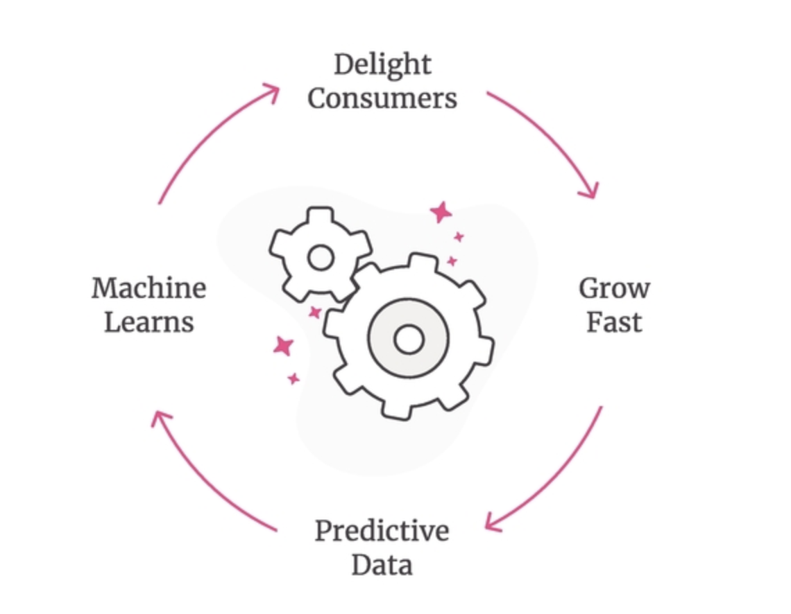 A Customer Experience Case Study Lemonade