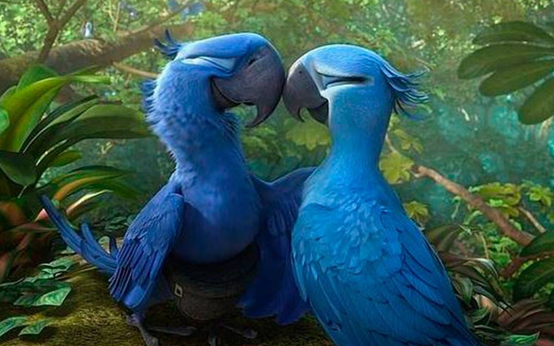 Descargar Río pelicula completa en espanol