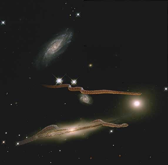 The purpling; snakes on the make; ataraxia. | Woodworkers of the World ...