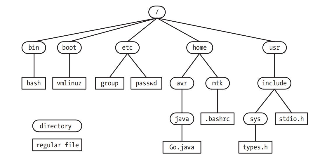 Linux Programming Interface Linux系統檔案etc資料夾是什麼意思 By Mulong Puyang Medium