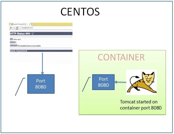 Tomcat