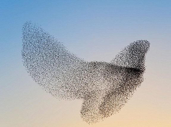 The Intersection Between Swarm Intelligence and Robots | by Samhita  Pokkunuri | Medium