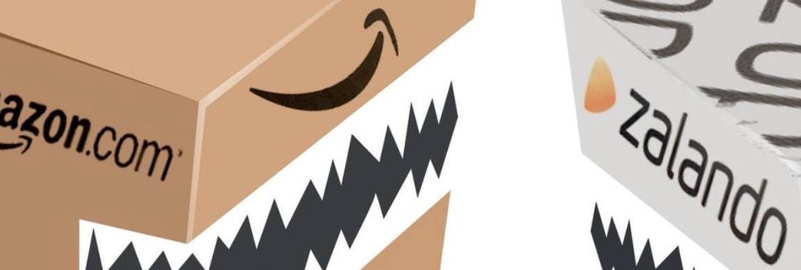 Why Amazon Should Acquire Zalando | by Nick Skeba | Medium