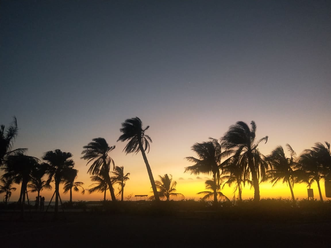 淺談轉系 你確定真的要轉這個系 隨著一學期的結束 也象徵著又到了轉系輔系雙主修的季節 在過去幾年中 有很多學弟妹 By 劉智皓 Chih Hao Liu Medium