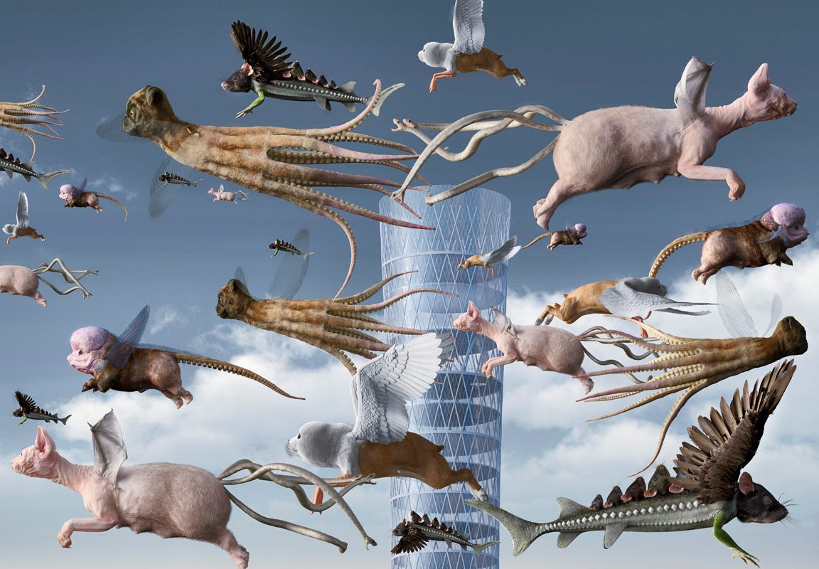 How Allegory Enters The Digital Age The Case Of Aes F By Danae Digital Art Weekly Medium How Allegory Enters The Digital Age The Case Of Aes F By Danae Digital Art Weekly Medium