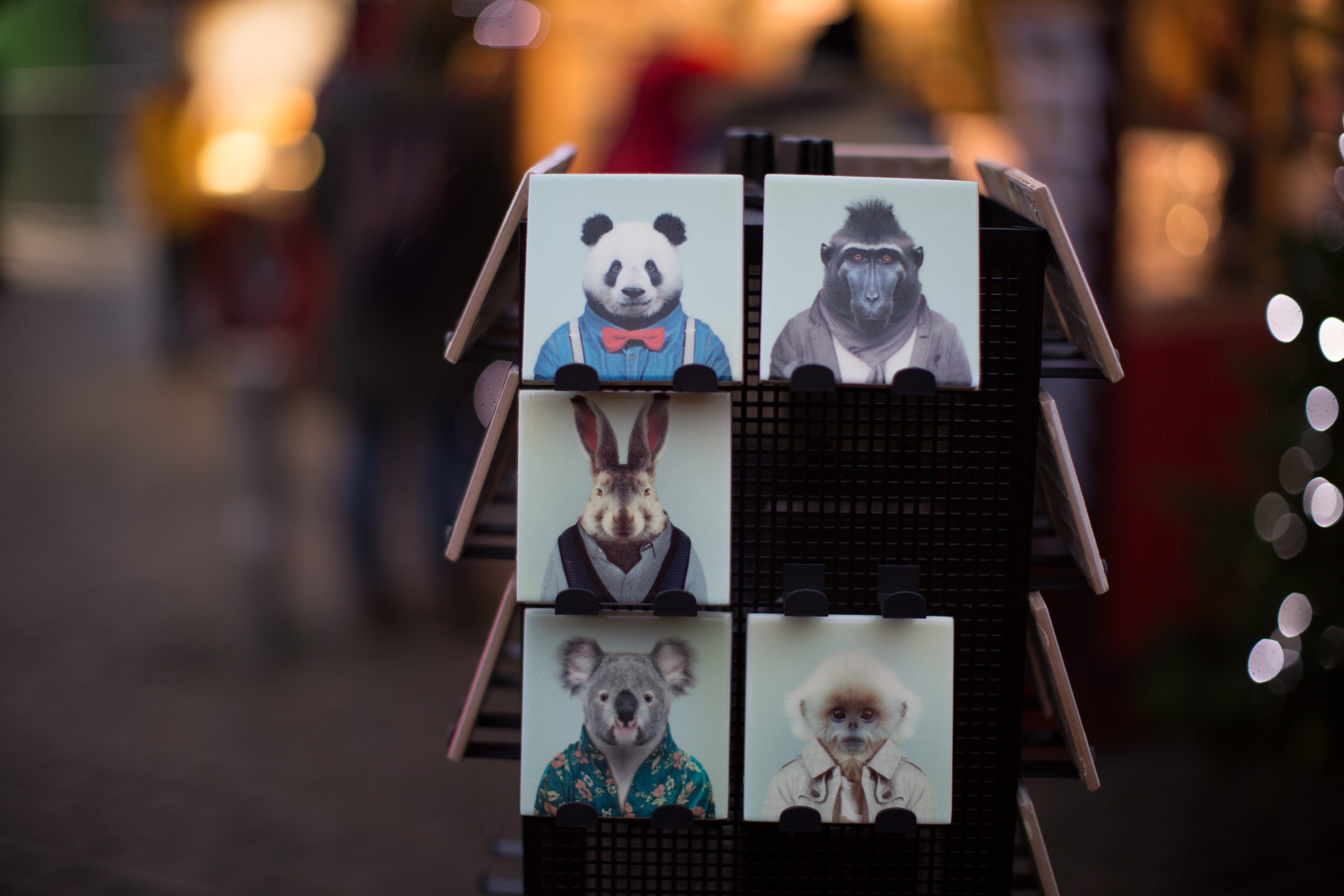 From Pandas To Pyspark With Koalas Towards Data Science