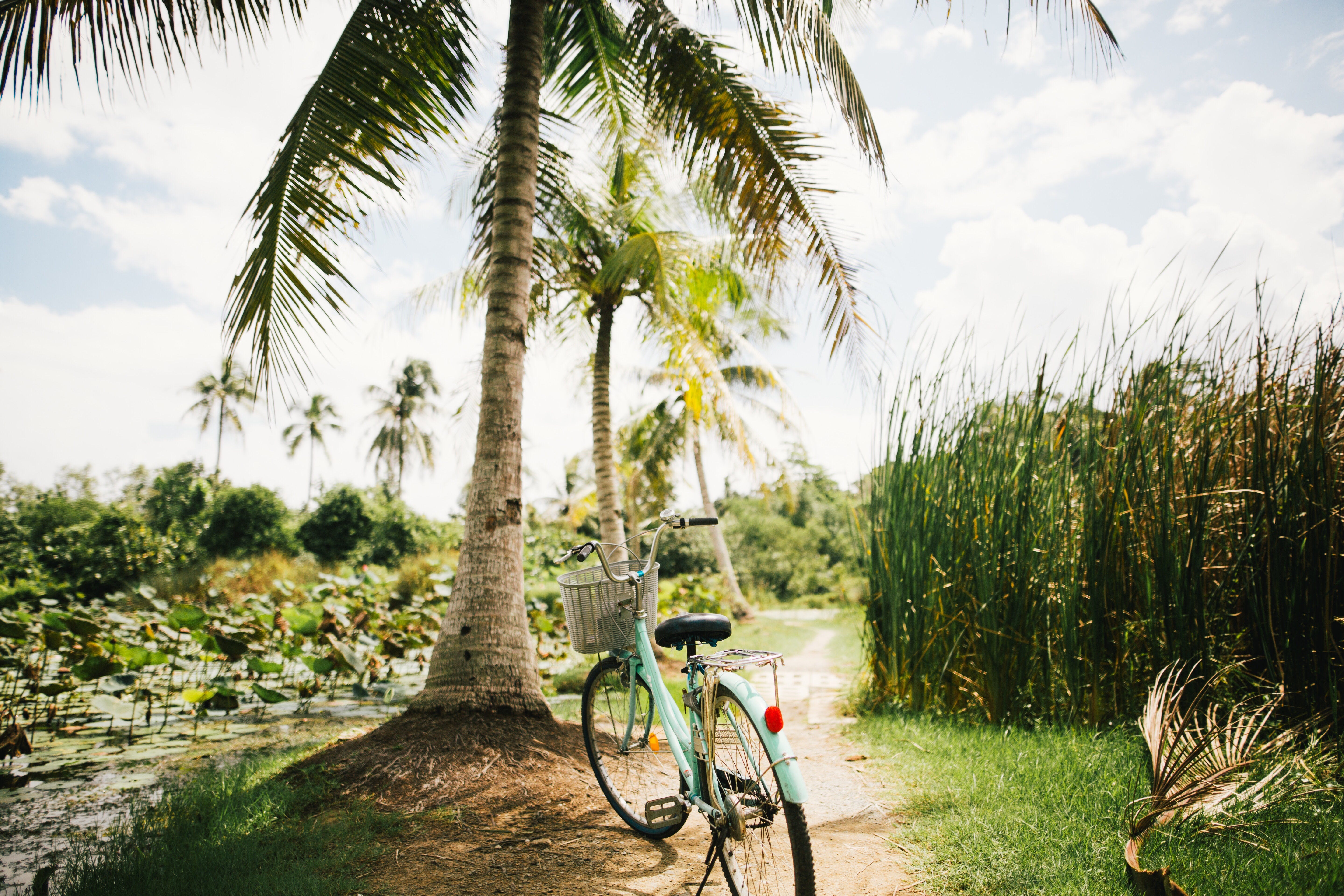 7 Reasons Why Now Is The Best Time To Visit Puerto Rico