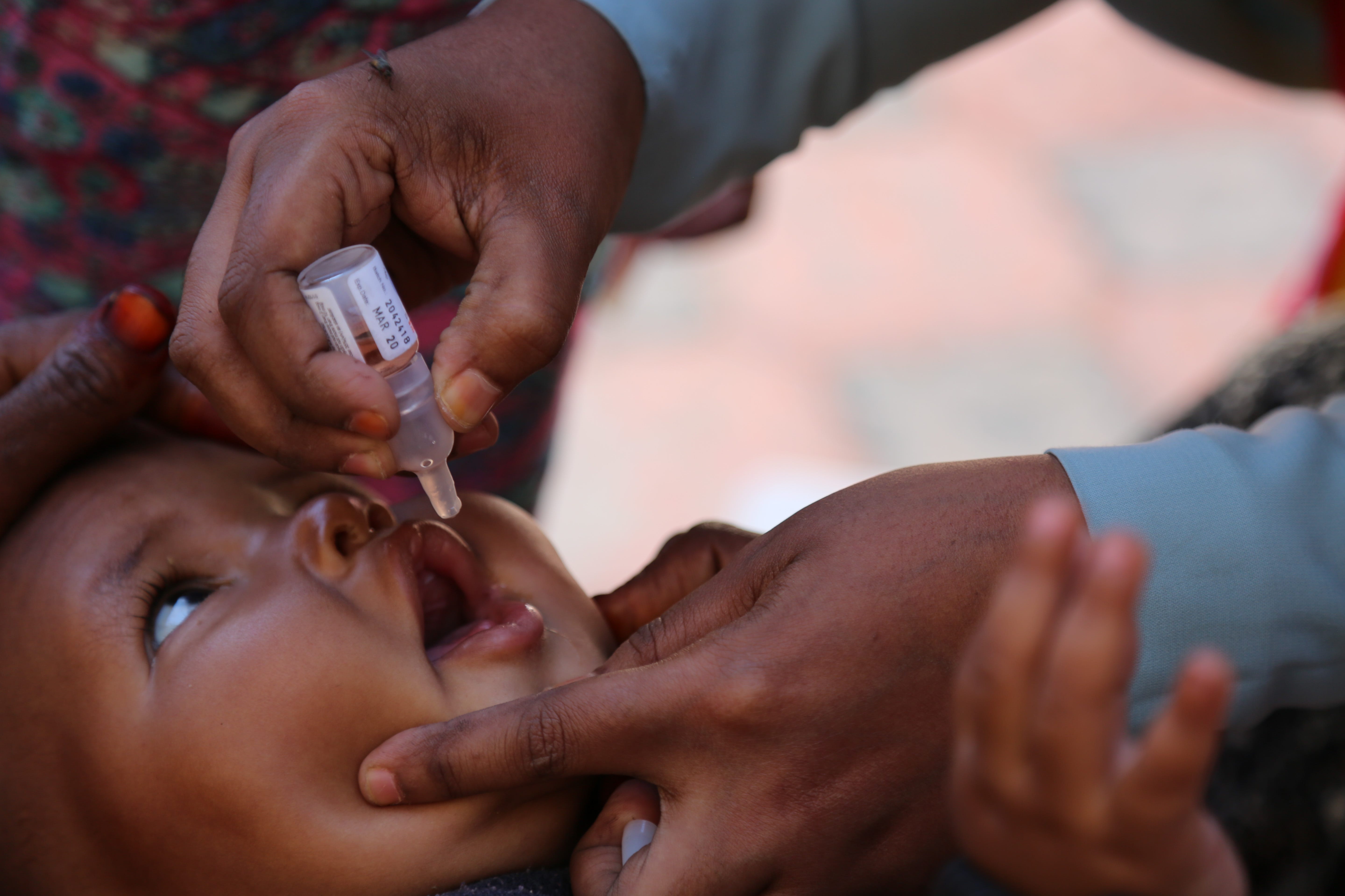 A milestone for humanity, as two of three strains of wild polio ...