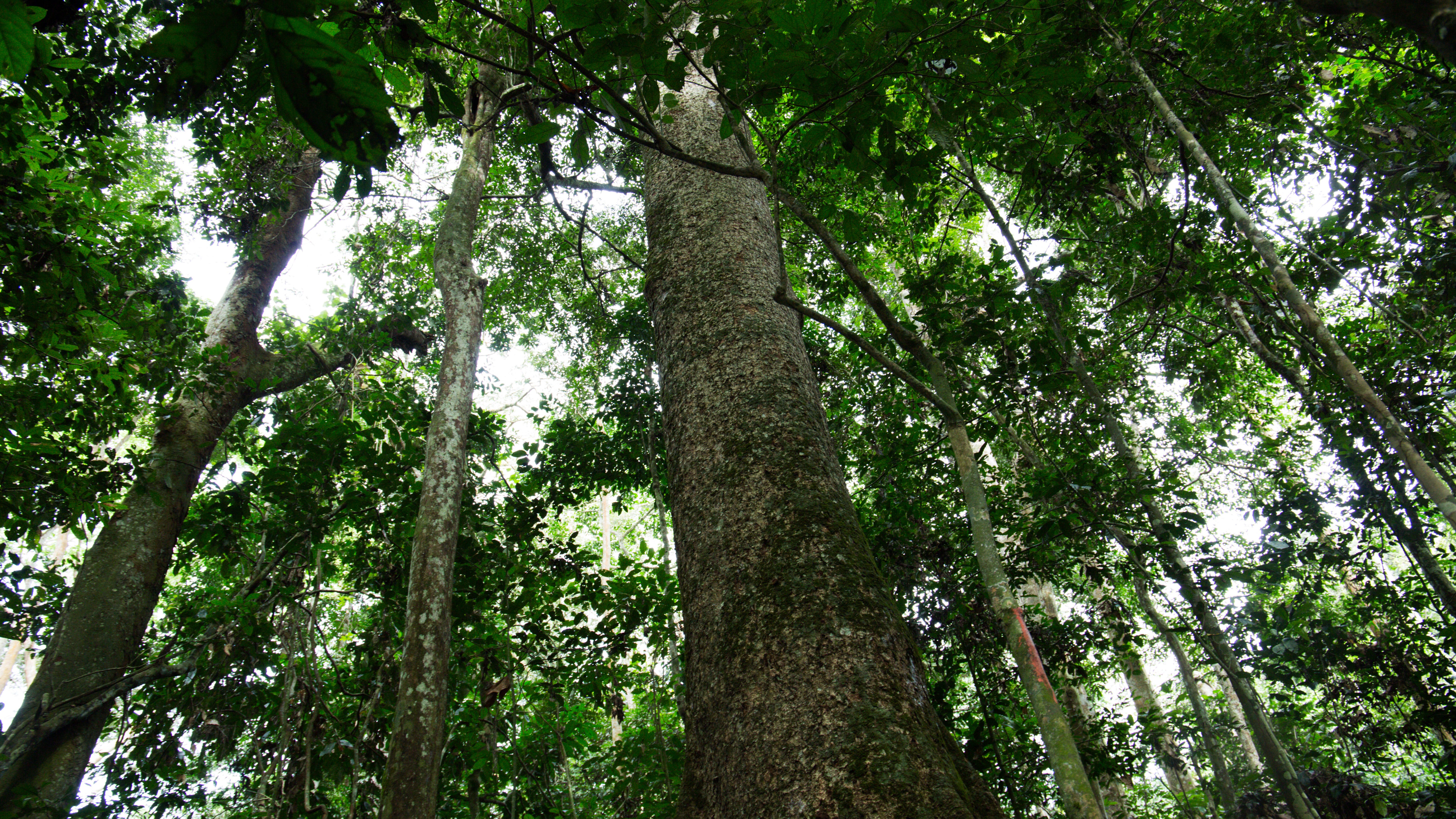 In The Congo People Centric Businesses Drive Change - 