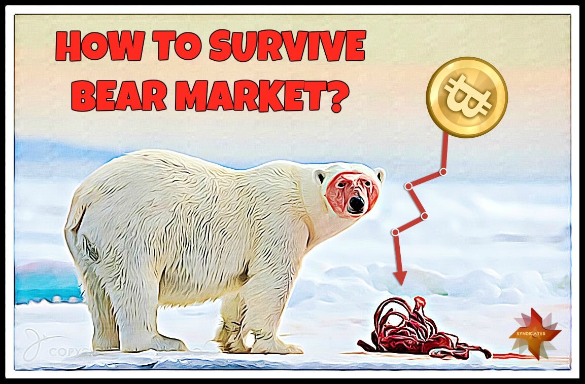 how to make money in cryptocurrency bear market