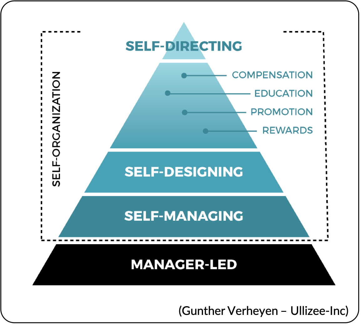 team-size-in-scrum-actually-empiricism-and-self-organization