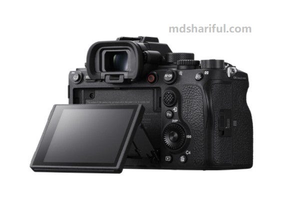 Sony Alpha 1 Review