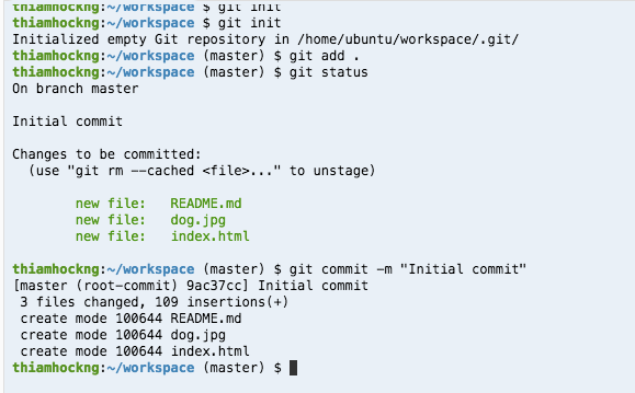How to Push Your Code to Github and Publish Your First Page | by Thiam ...