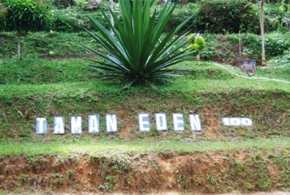 Objek Wisata Air Terjun Taman Eden Di Lumbanjulu Samosir