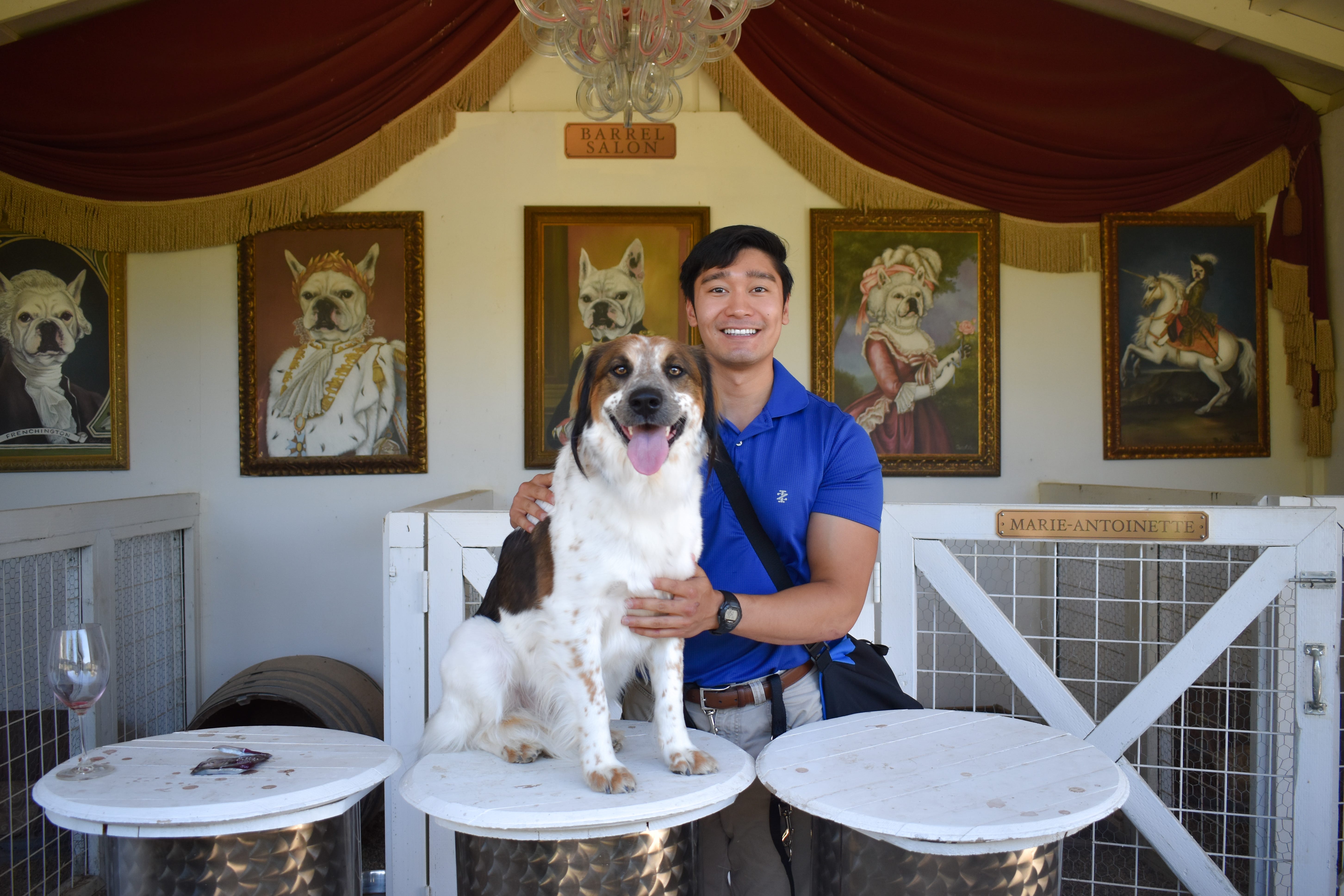 Man with dark hair wearing a blue shirt posing with a medium-sized dog.