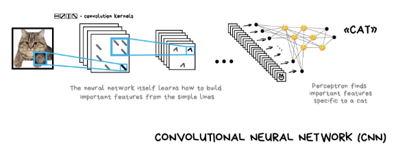 Neural Networks And Deep Learning: CNN vs. RNN | by Rihad Variawa ...