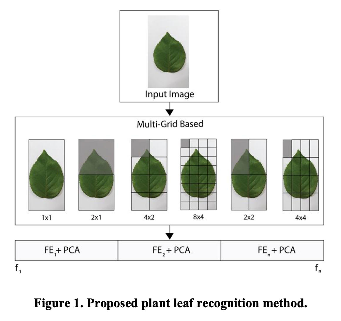 Plant Leaf Image Recognition using Multiple-grid Based Local Descriptor ...