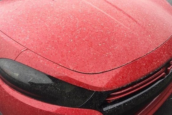 acid rain damage on cars