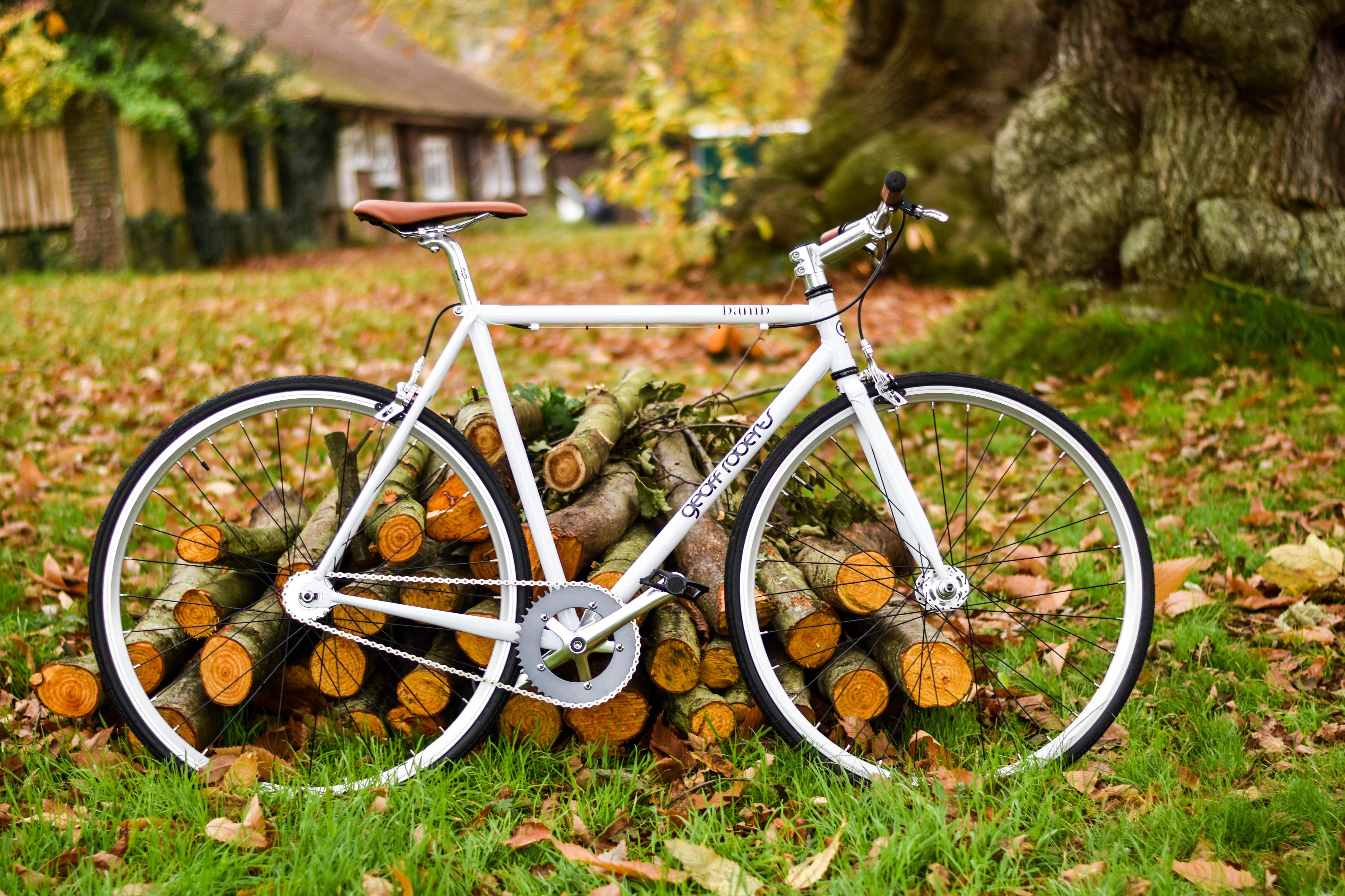 cycle like