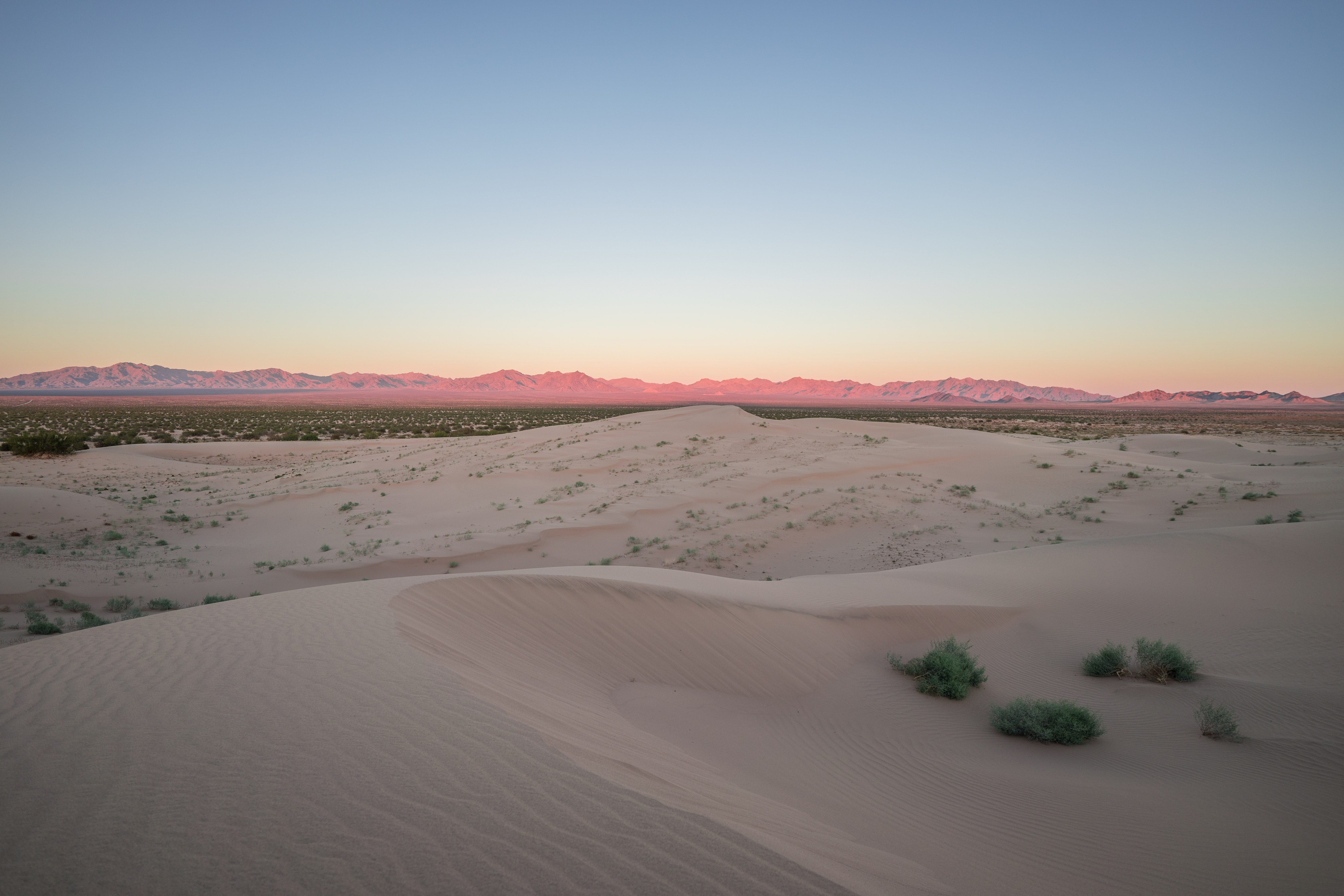 MOJAVE TRAILS NATIONAL MONUMENT: Photographs from California’s Desert 