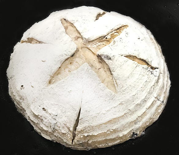 Factors Influencing The Oven Spring Of Your Bread Swissbake By Swissbake Ingredients Pvt Ltd Medium