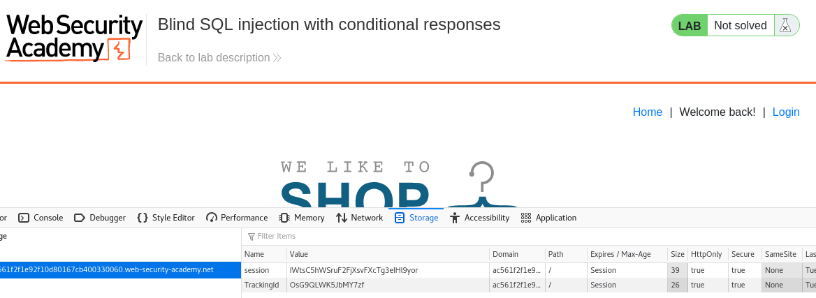 Exploiting Blind SQLi in an easy way with Python | by Euler Neto | Medium