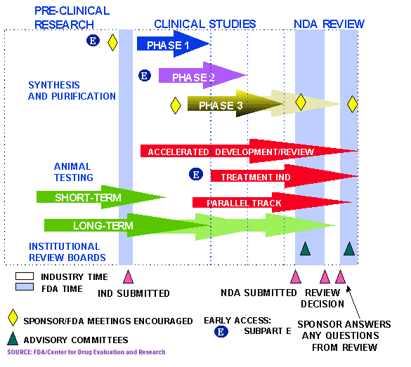 How Digital Therapeutics are Transforming the FDA by Daelyn Fortney