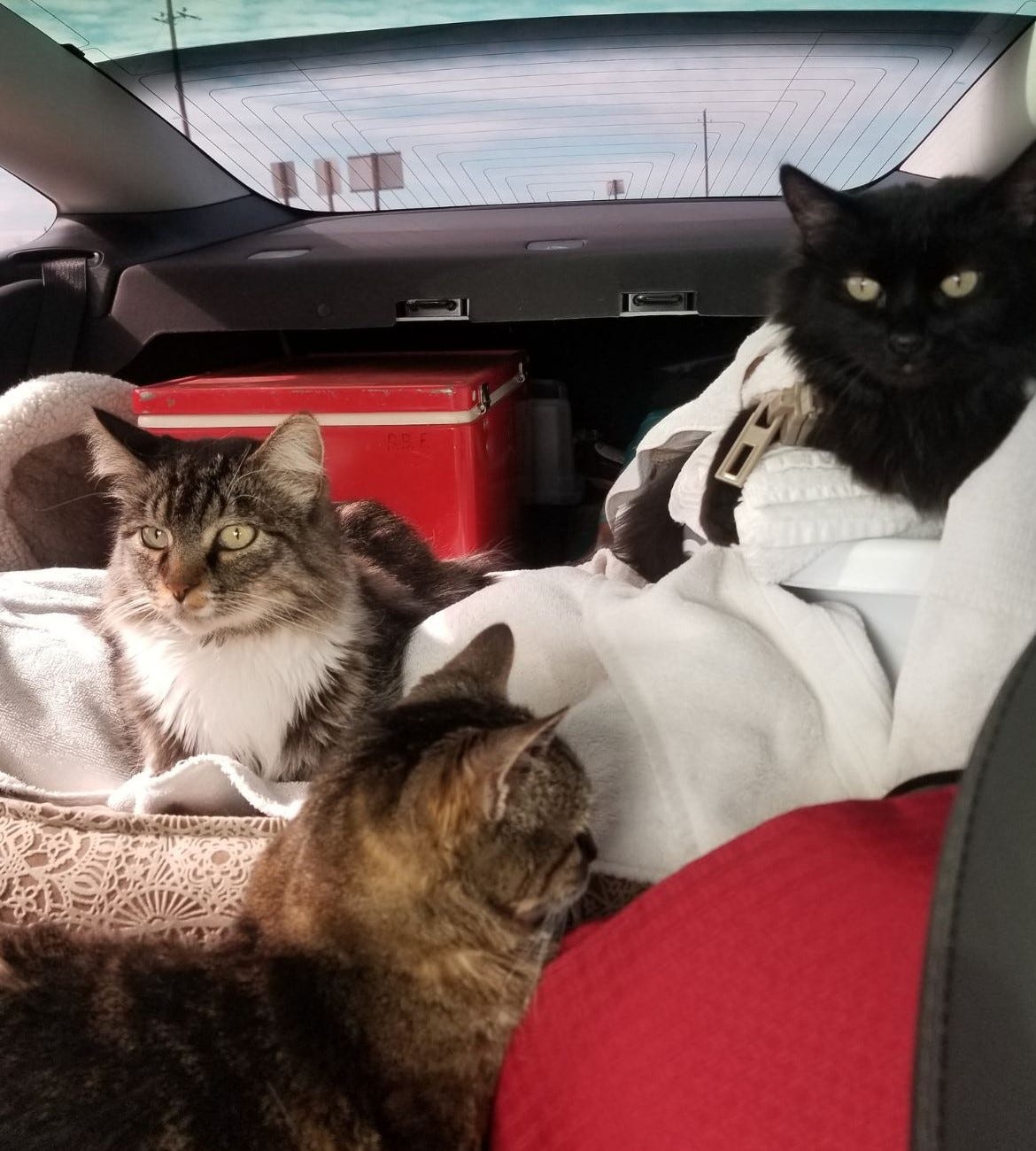 How do I save money on college?. It is possible to graduate with a ...