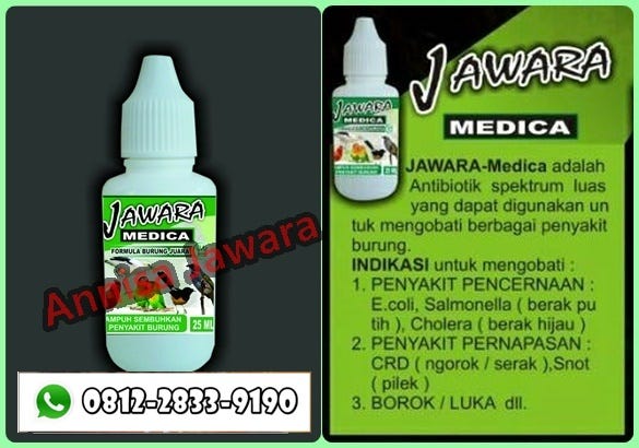 Promo O812 2833 919o Jual Obat Burung Sakit Jual Obat Burung